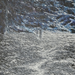 C & Nature_Jorney in the Dark_HR