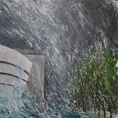 C & Nature_NY 1.2_HR