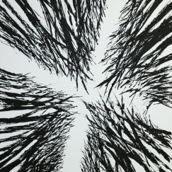 Nature as Cathedral_5_HR