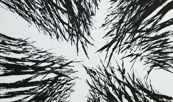 Nature as Cathedral_5_HR